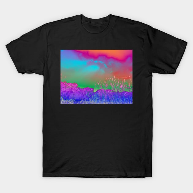 Bright rainbow landscape T-Shirt by 3DVictory